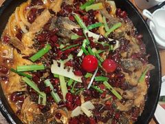 -老板恋上鱼(恒隆广场店)