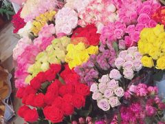 -平吉花卉市场