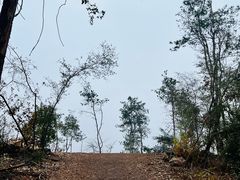 -青龙山国家森林公园