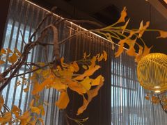 -京华烟云·北京烤鸭(领展购物广场·中关村店)