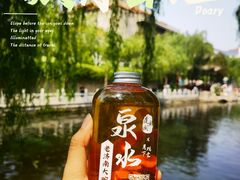 -趵突泉景区