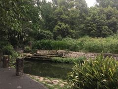 -成都市活水公园