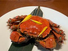 -觀芷隐轩