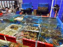 海鲜池-明本湛江鸡•海鲜小厨(陈家祠店)