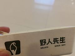 -野人先生现做冰淇淋(北京王府井东方新天地店)