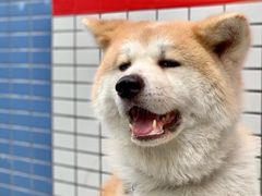-YCHL Studios健身工作室(市二宫店)