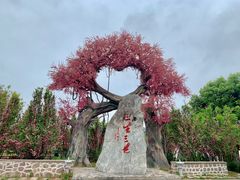 -昌州古城