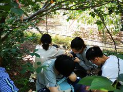 -北宅大永樱桃采摘基地(崂山总部)