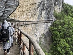 -鹿院坪生态旅游景区