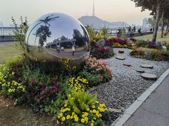-野狸岛