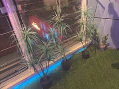 -CIAO·团建聚餐·生日派对轰趴馆(福田店)