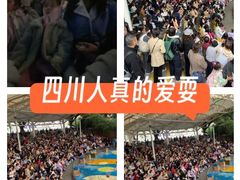 -海合安成都极地海洋公园