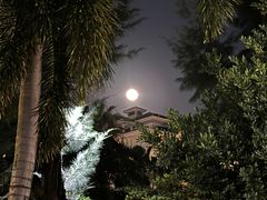 -惠州金海湾嘉华度假酒店