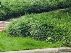 -上海财经大学(国定路校区)