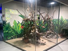 -上海大自然野生昆虫馆(东方明珠·爬宠昆虫探索中心)
