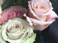 -Butchart布查德鲜花(花艺设计中心)