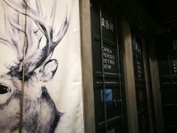 -V-STAR威斯达•高级私人定制