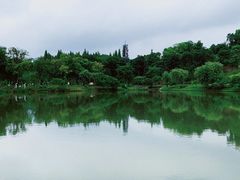 -宜兴龙背山森林公园