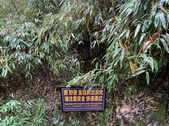 -神农架景区