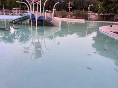-海珠儿童公园