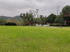 -宁波九龙湖开元度假村