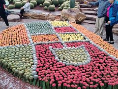 -南通洲际绿博园