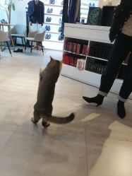 -优刻西服西装定制(金轮国际广场店)