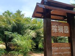 -中国科学院西双版纳热带植物园