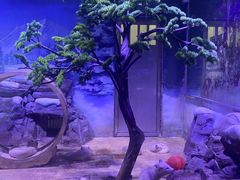 -上海海昌海洋公园-冰山北极馆