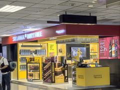 -班达拉奈克国际机场