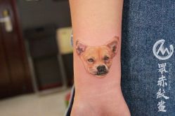 -众刺纹画·纹身·穿孔饰品·海娜定制