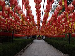 -大槐树寻根祭祖园