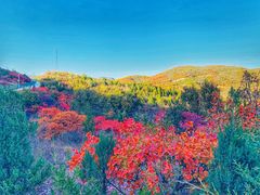-鬼笑石后山停车场
