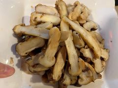 -蘑统田下·野生菌火锅