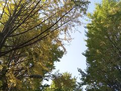 -四川大学(望江校区)