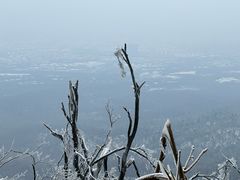-紫金山山顶公园