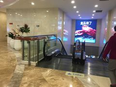 -盒马鲜生(财富中心店)