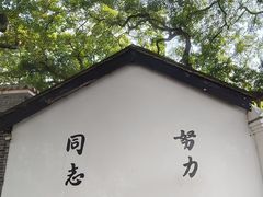 -长洲岛