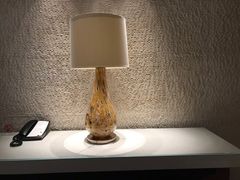 -墨脱石锅椰子鸡•香草鸭•东山羊(大东海店)