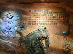 -河南自然博物馆