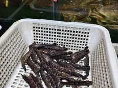 -爷爷的草帽·海鲜馆(孙塘路店)