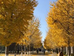 -东北大学(南湖校区)