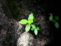-天台山琼台仙谷景区