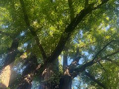 -红螺寺