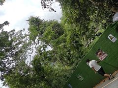 -西双版纳原始森林公园