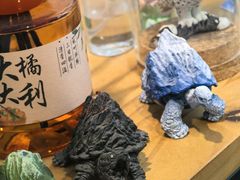 -雨林宠物医院 非犬猫异宠专科