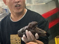 -春梅里卤鹅馆·47年老字号(中山路店)