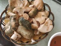 -山菌美食苑(振兴路店)