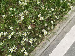 -西安软件新城软件研发基地2期