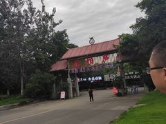 -二荆条·蜀鲜汇城市森林火锅